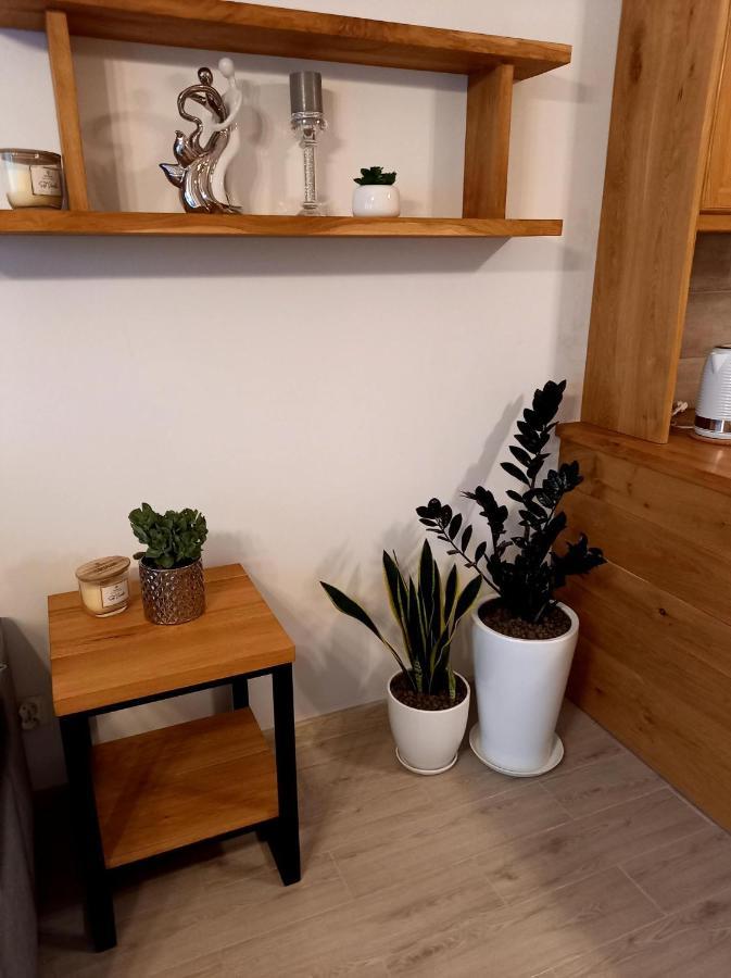 Apartament Green Park Starogard Gdański Exteriér fotografie